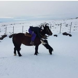 Meet your Posher, Beatriz